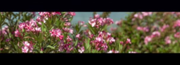 collage image title