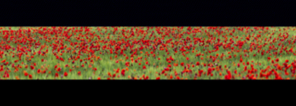 collage image title