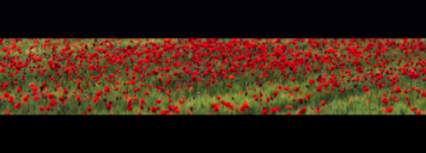 collage image title